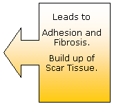 Injury Cycle