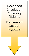 Injury Cycle